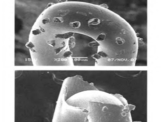 Diamond Wire Loop Research in Silicon Crystal Cutting